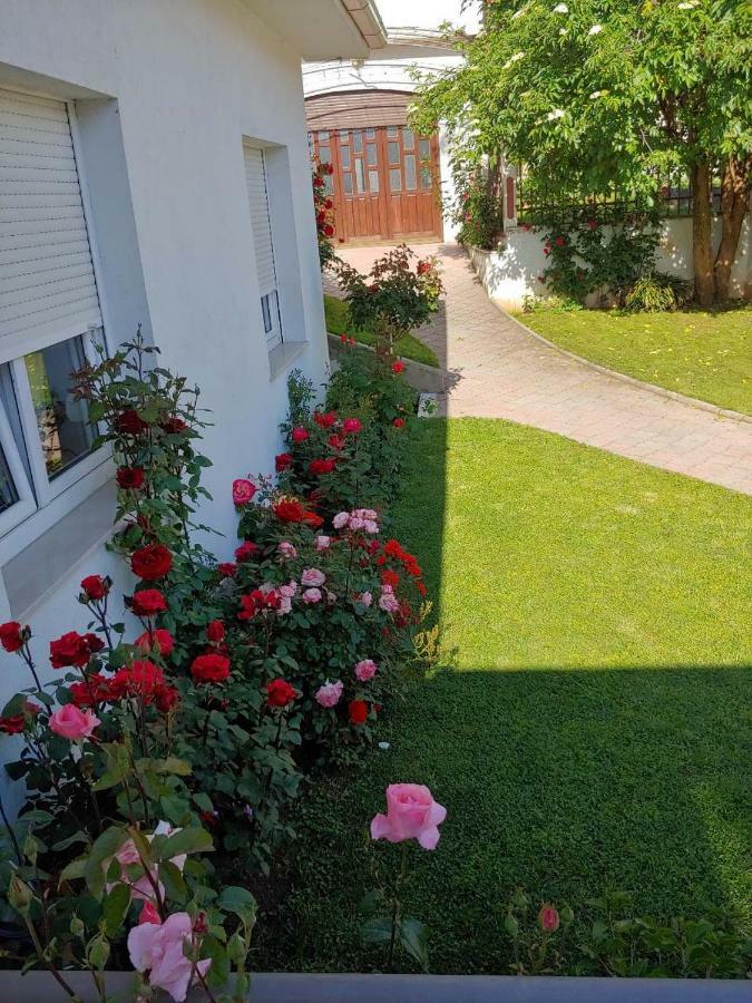 Apartments Tulipan - With Free Private Parking Garage 모스타르 외부 사진